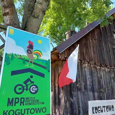 Pole Namiotowe Kogutowo