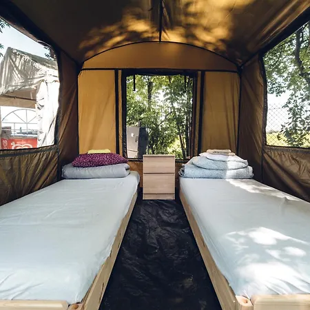 Pole Namiotowe Kogutowo *