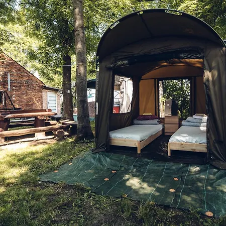 Pole Namiotowe Kogutowo