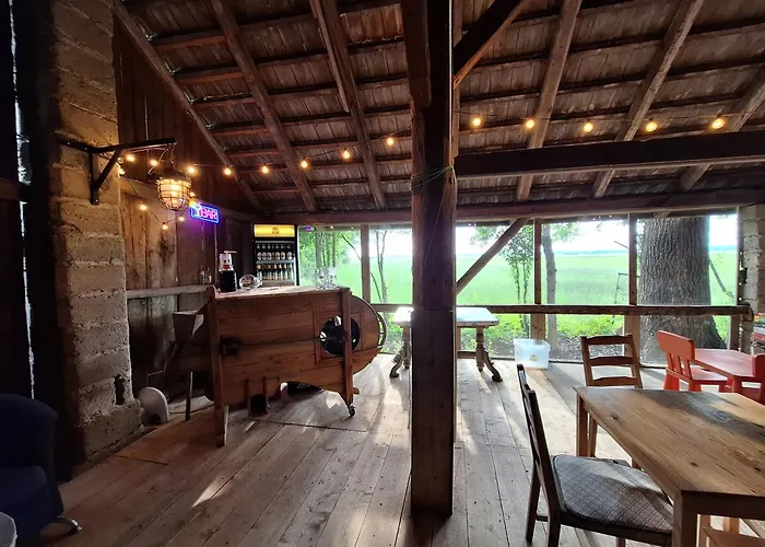 Pole Namiotowe Kogutowo