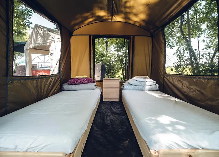 Pole Namiotowe Kogutowo *