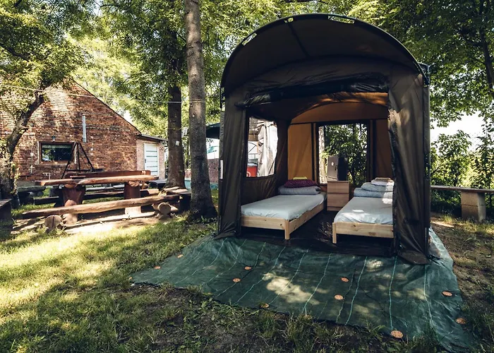 Pole Namiotowe Kogutowo